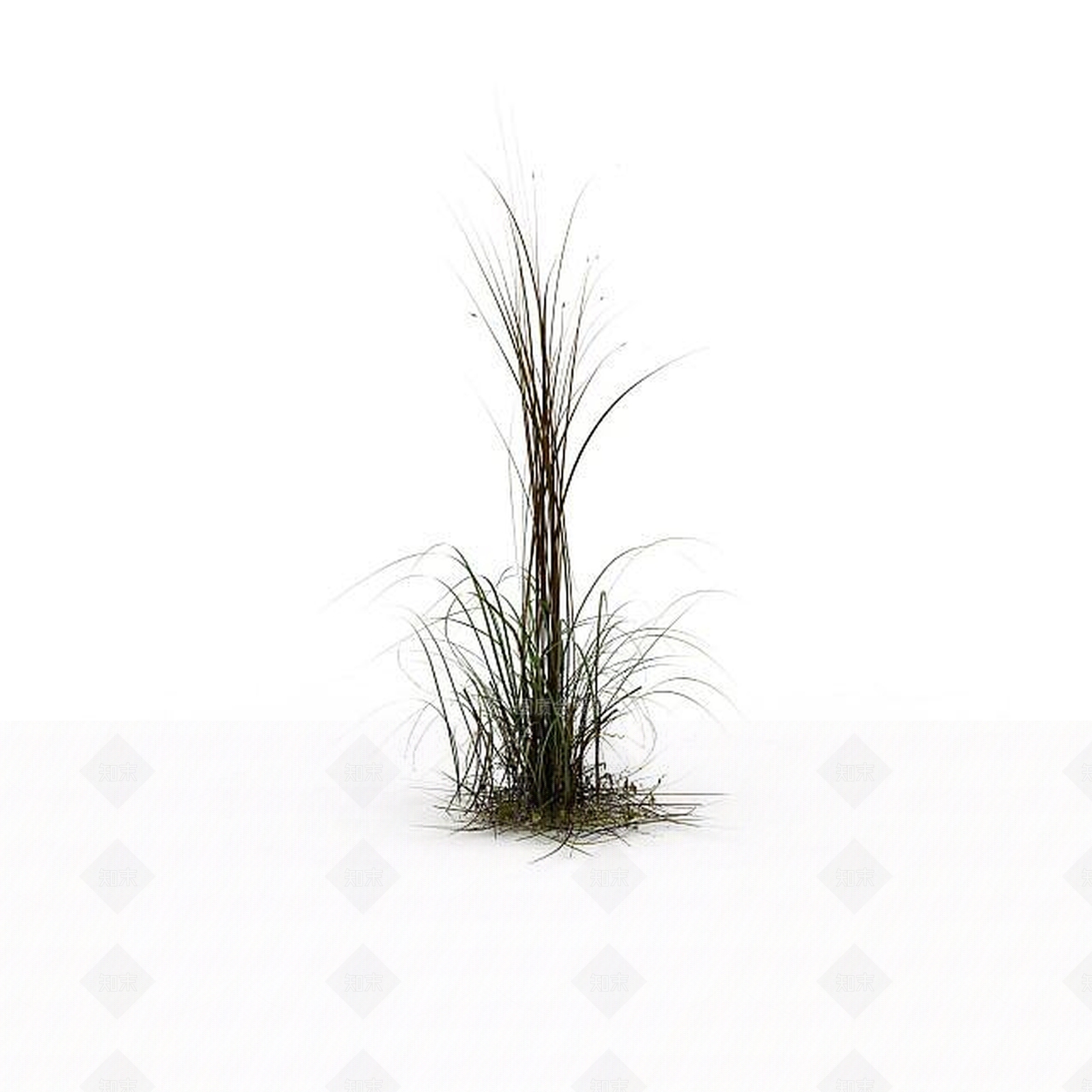 现代野草3D模型下载【ID:1198608254】