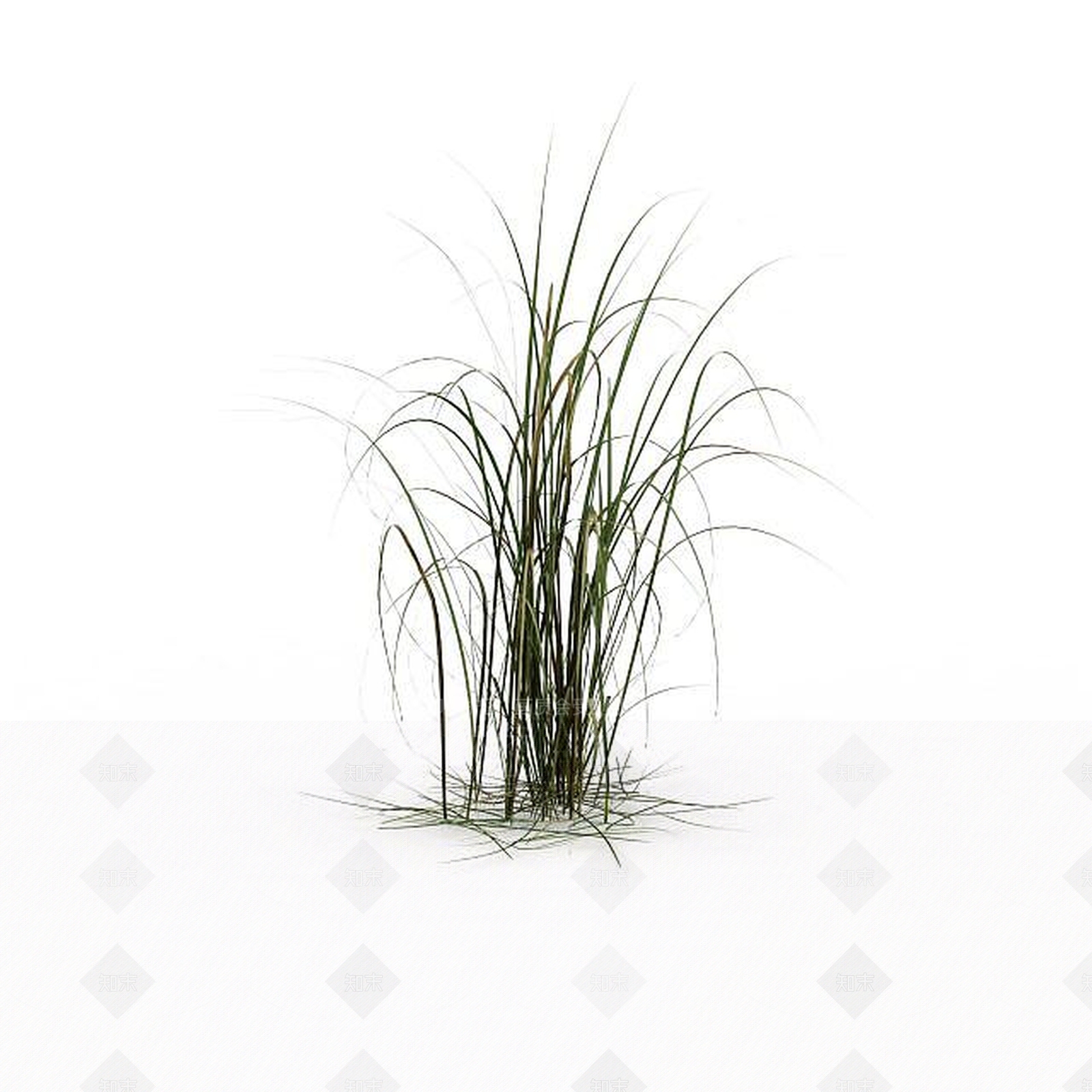 现代绿草3D模型下载【ID:1198607506】