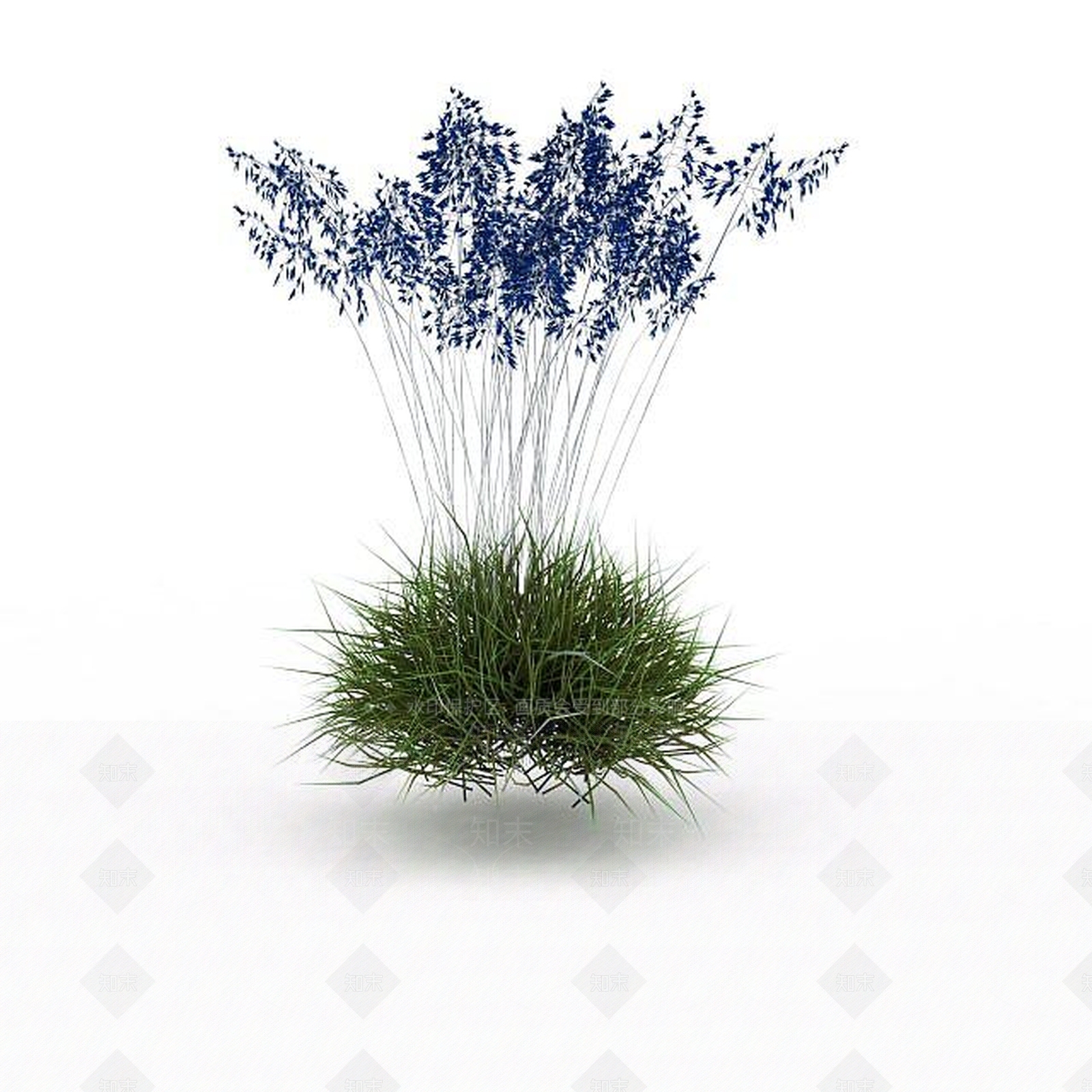 现代野生花草3D模型下载【ID:1198607558】