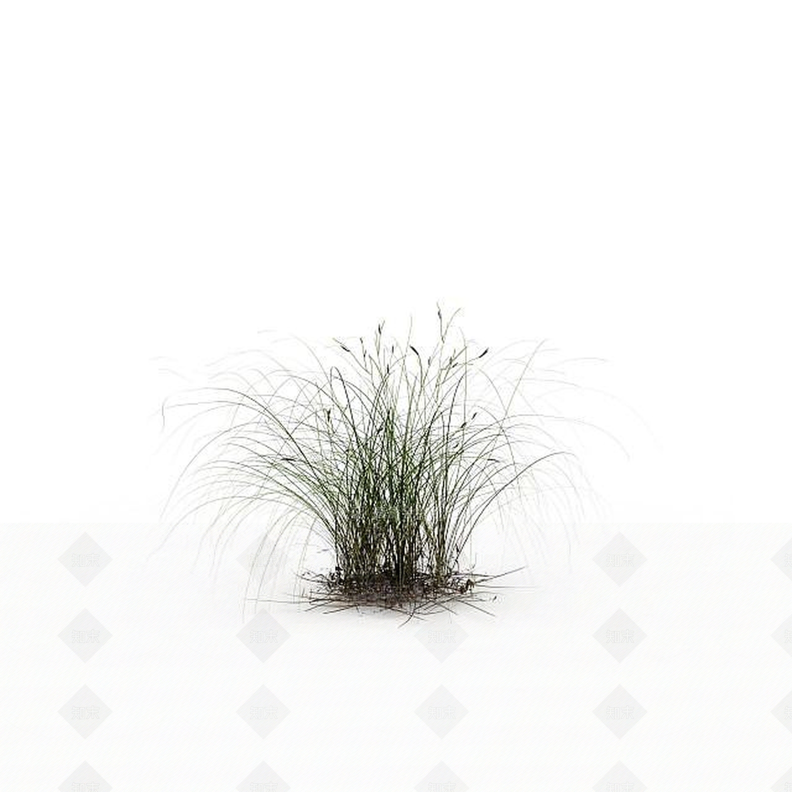 现代山上野草3D模型下载【ID:1198607569】