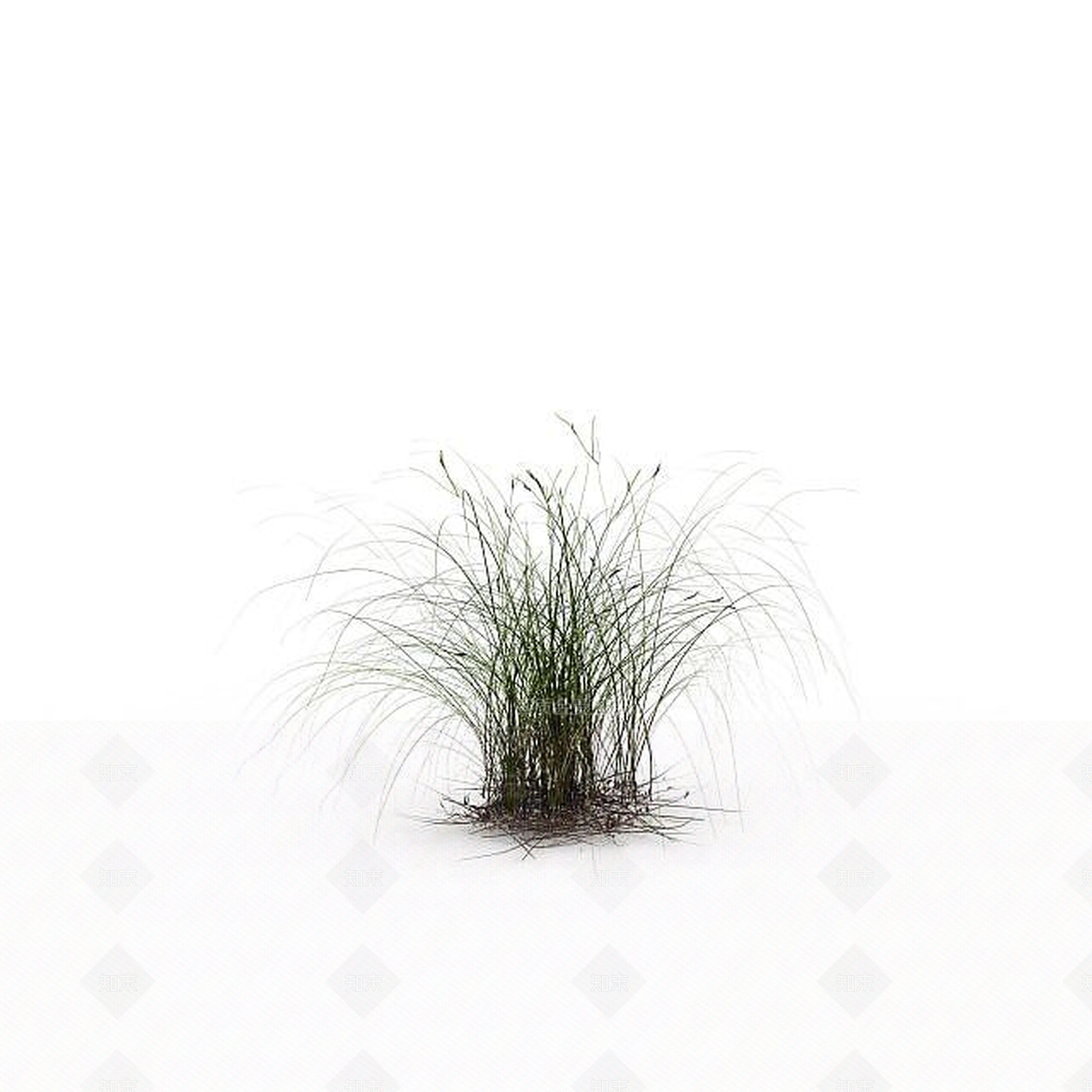现代山上野草3D模型下载【ID:1198607569】