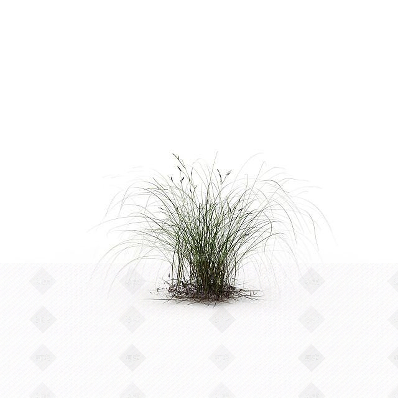 现代山上野草3D模型下载【ID:1198607569】
