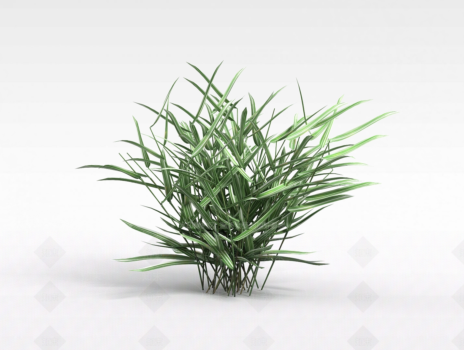 现代绿植3D模型下载【ID:1198608276】