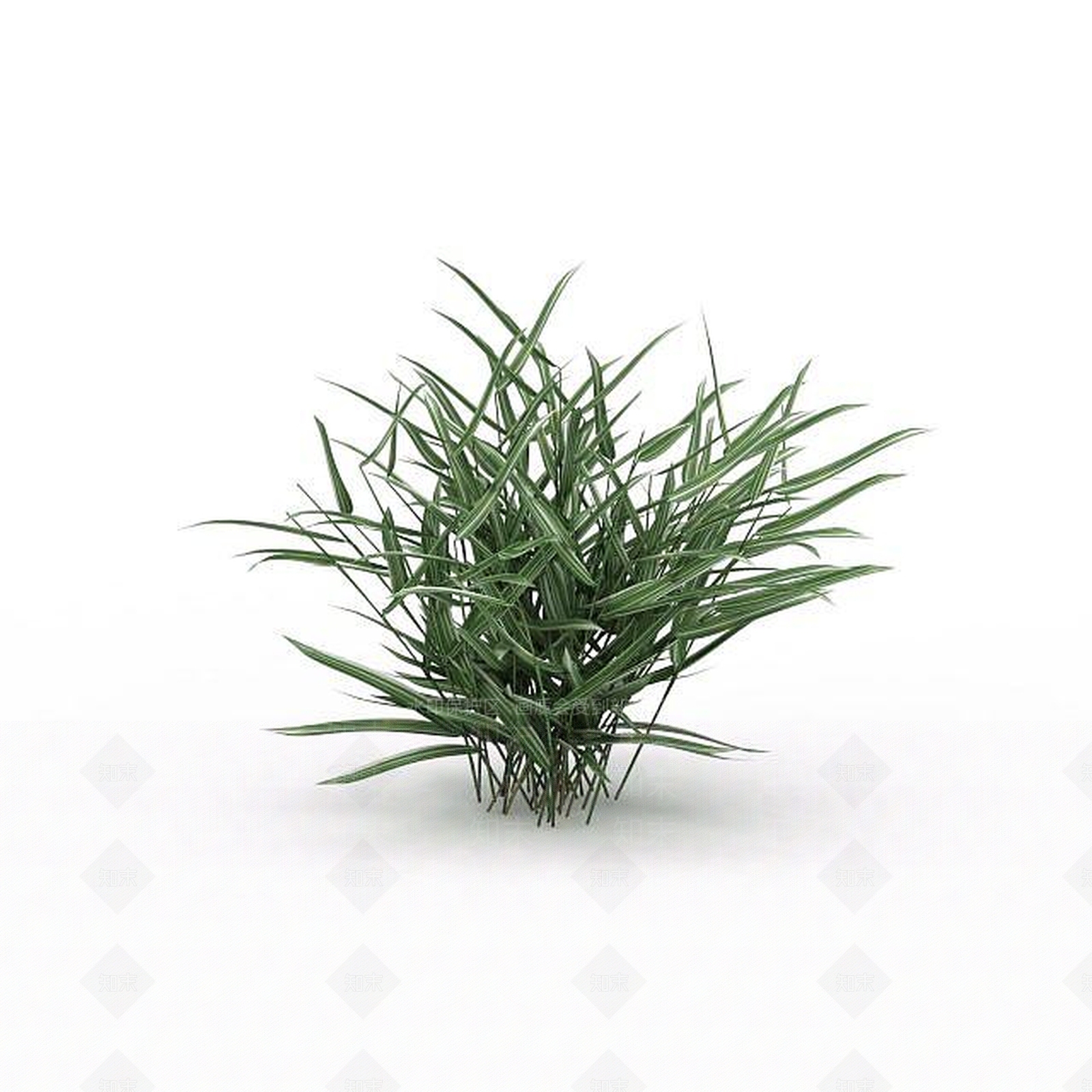 现代绿植3D模型下载【ID:1198608276】