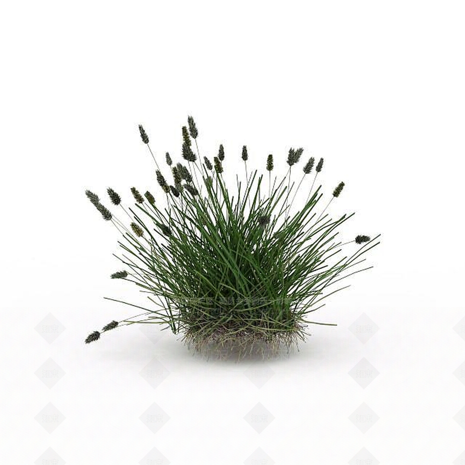现代野草3D模型下载【ID:1198608976】