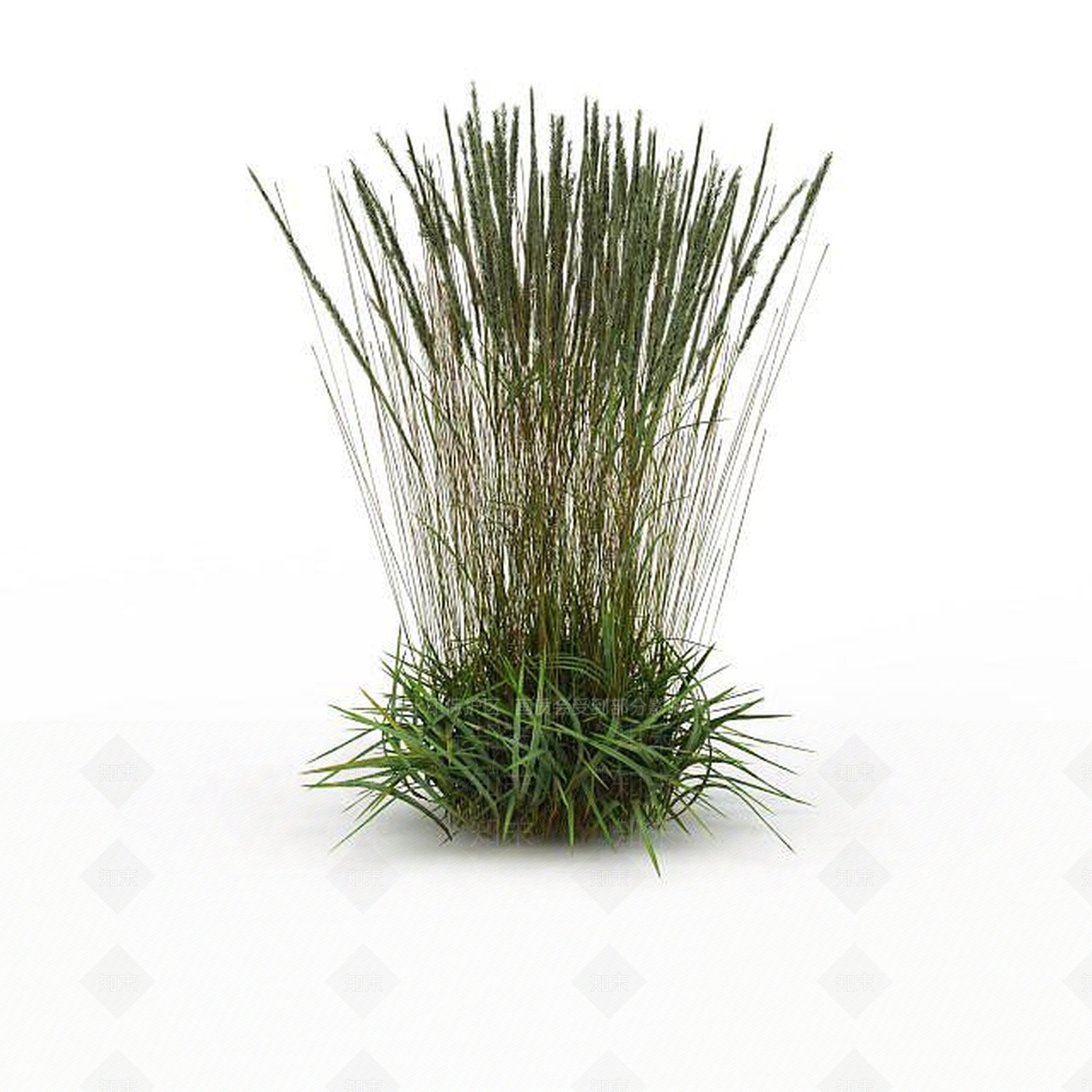 现代野草3D模型下载【ID:1198607610】