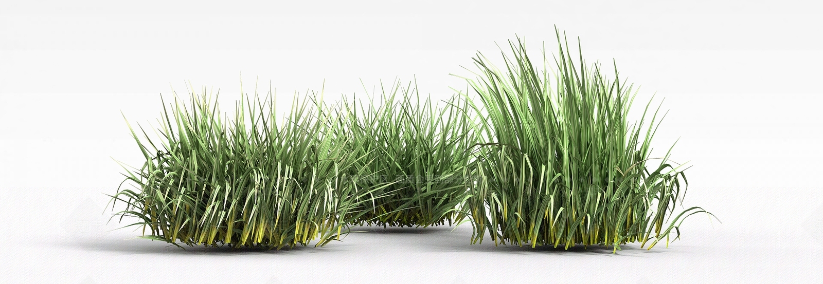 现代野草3D模型下载【ID:1198608310】
