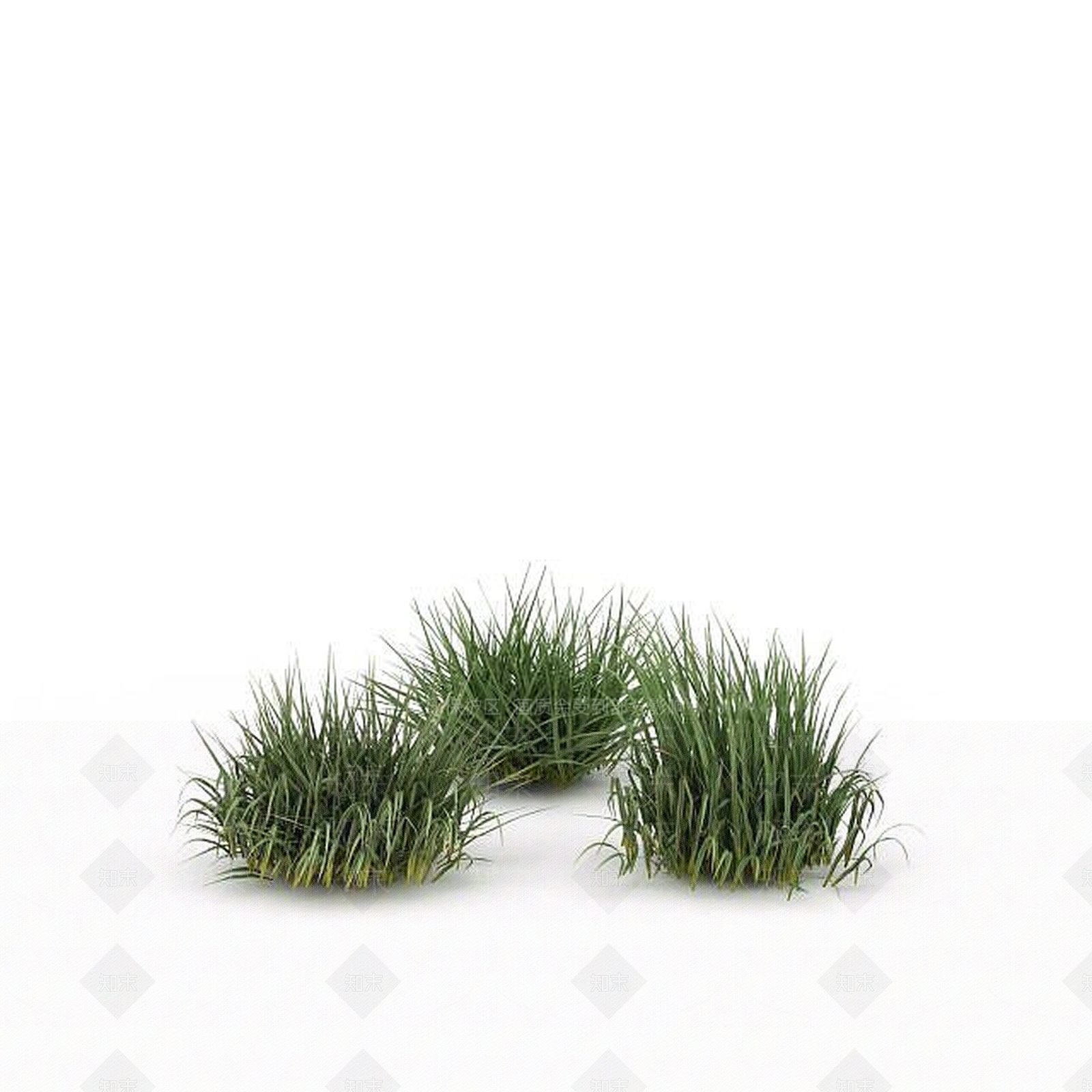 现代野草3D模型下载【ID:1198608310】