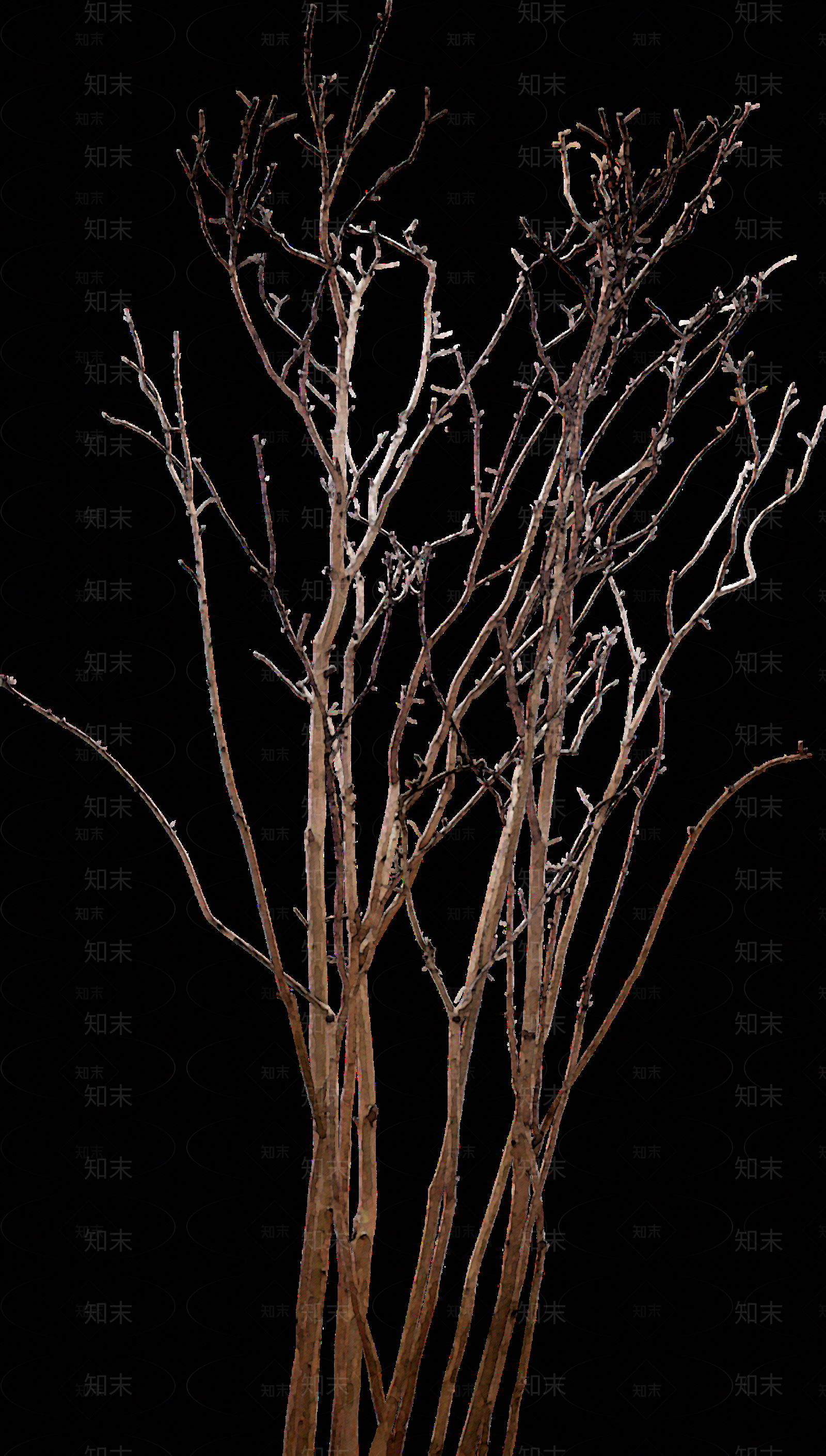 现代其它HDR贴图下载【ID:1198484128】