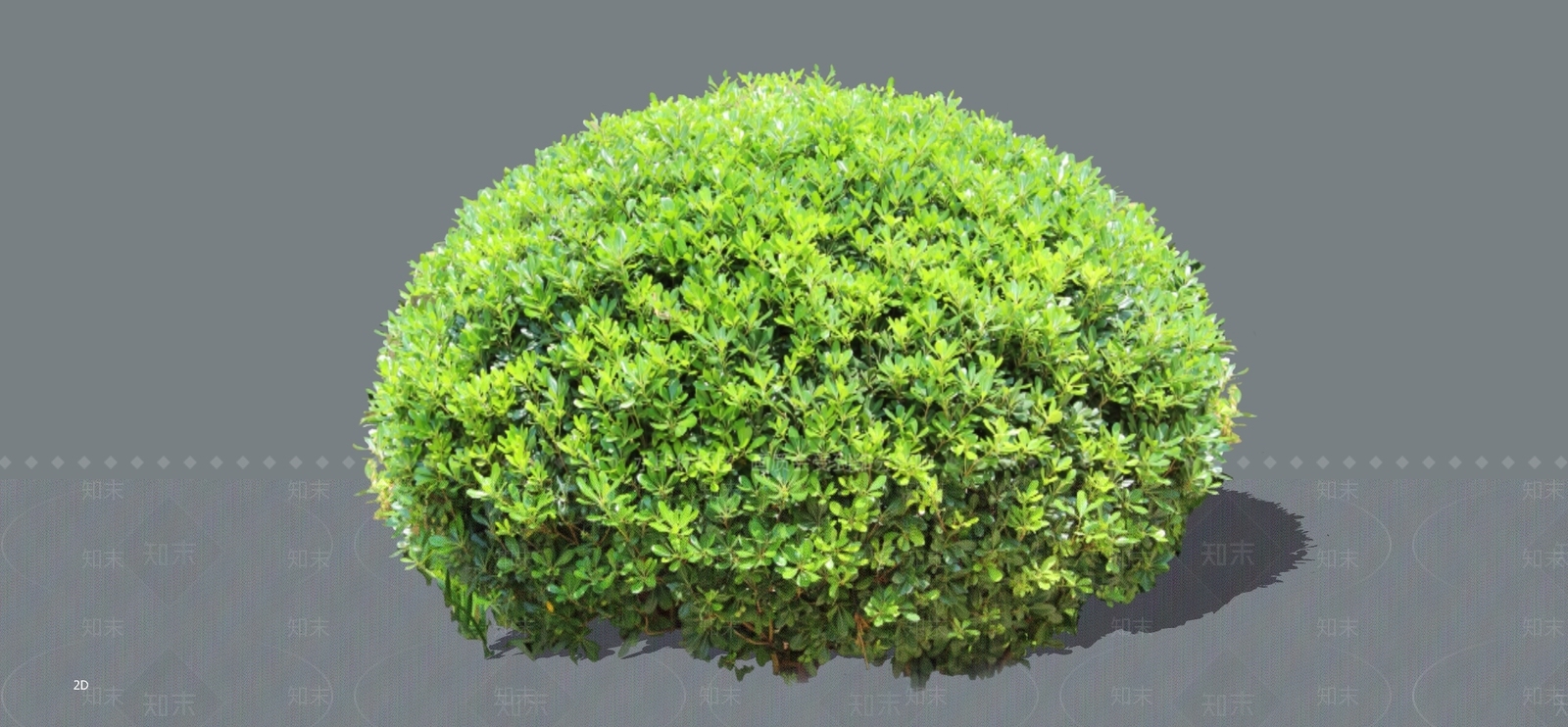 灌木SU模型下载【ID:1198505330】