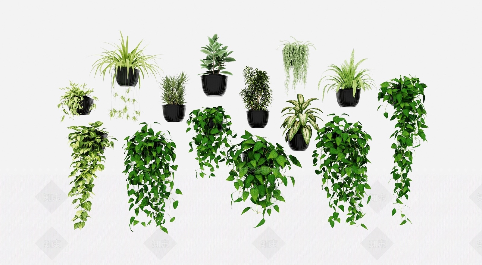藤蔓3D模型下载【ID:1198534090】