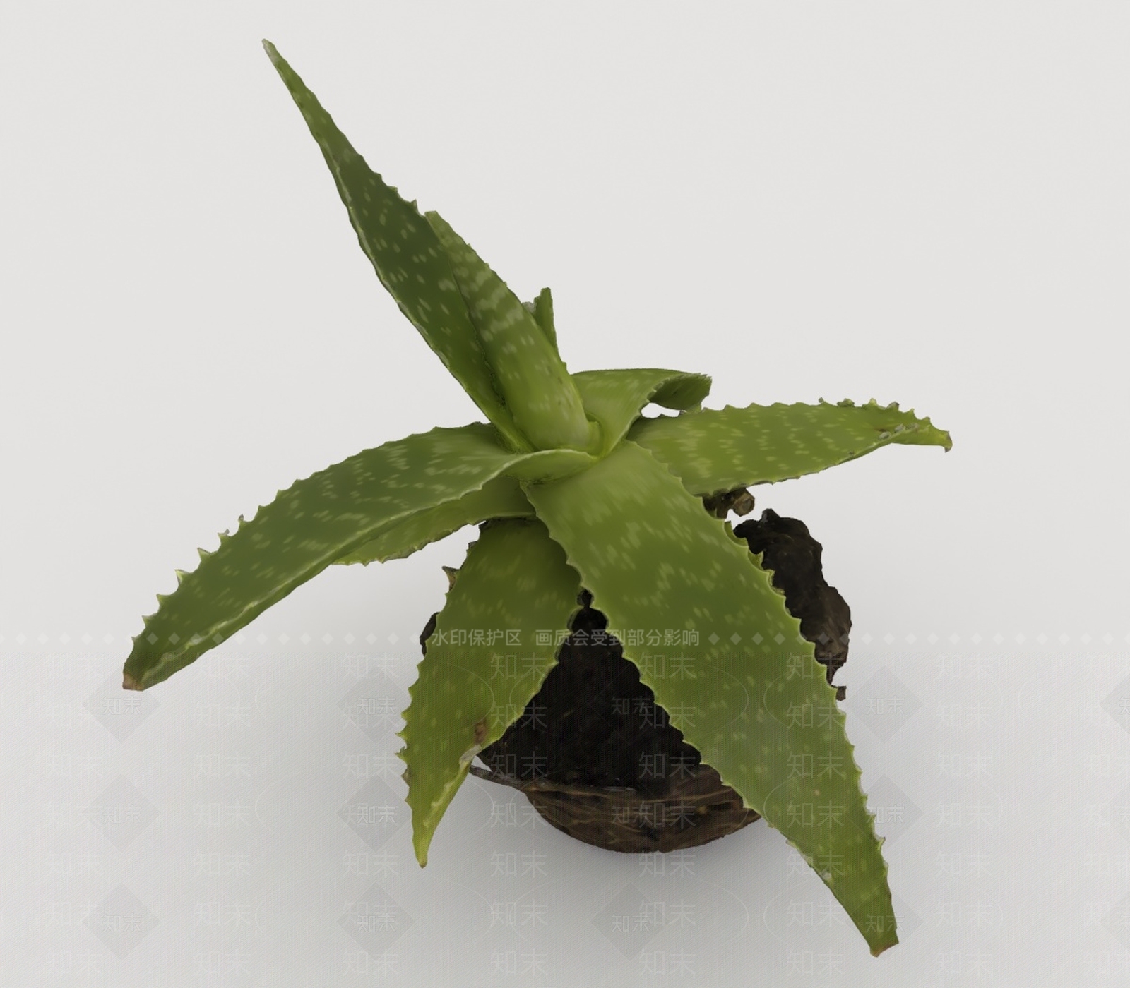 其他绿植3D模型下载【ID:1198577290】