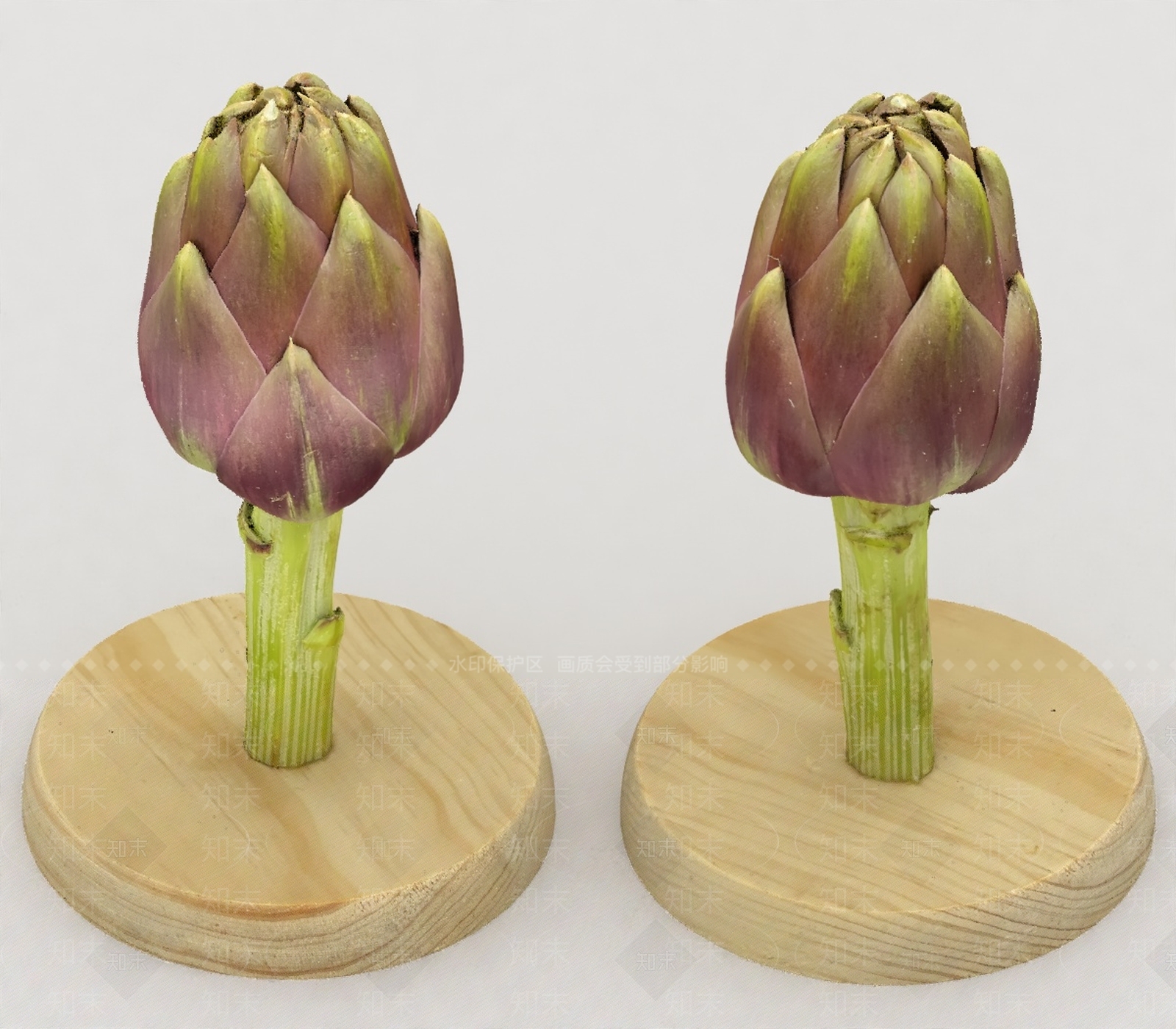其他绿植3D模型下载【ID:1198577251】