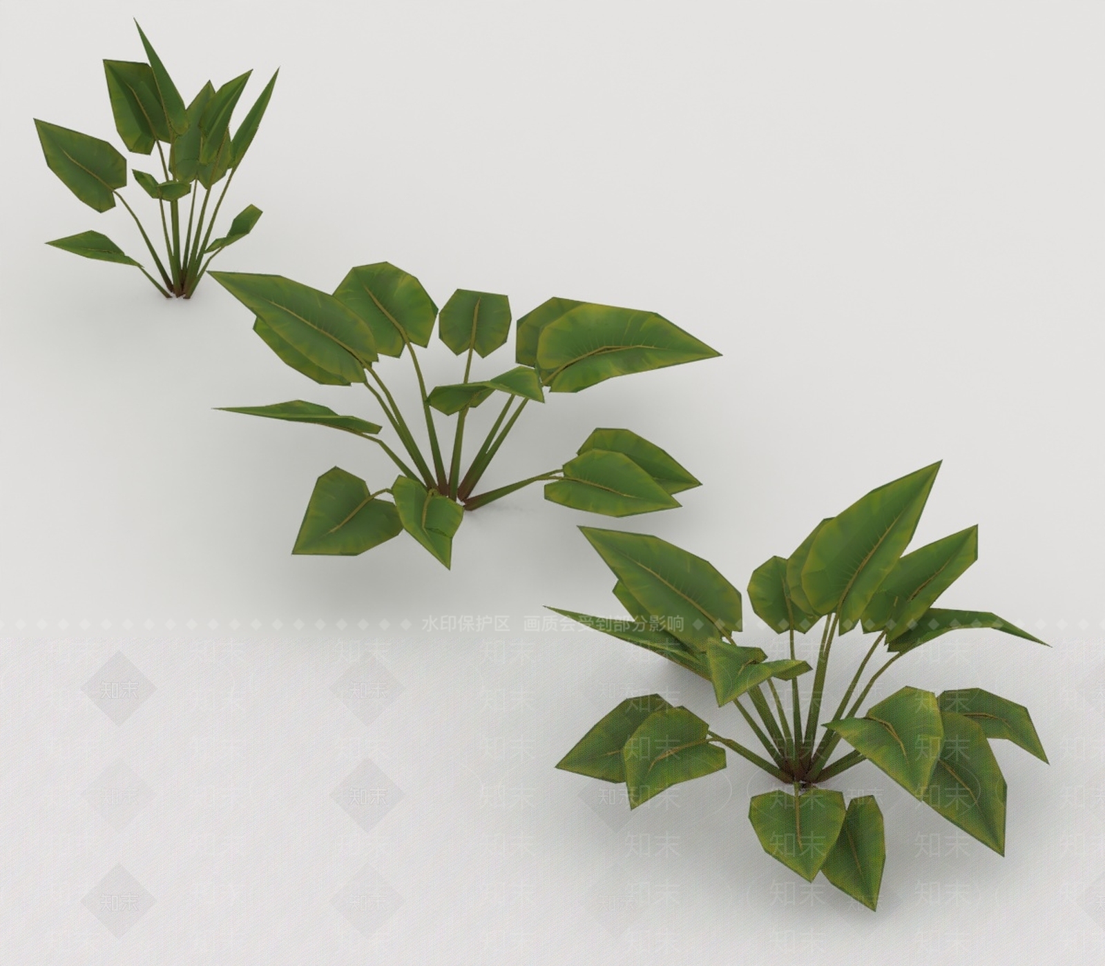 其他绿植3D模型下载【ID:1198577866】