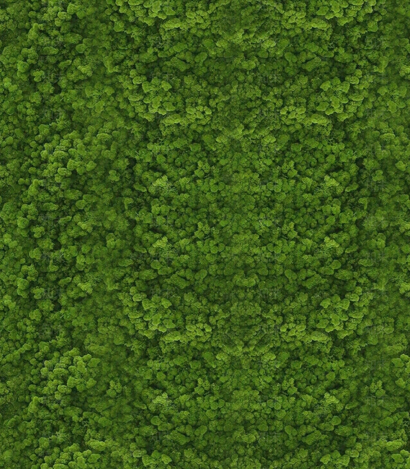 现代自然地面贴图下载【ID:1198607769】