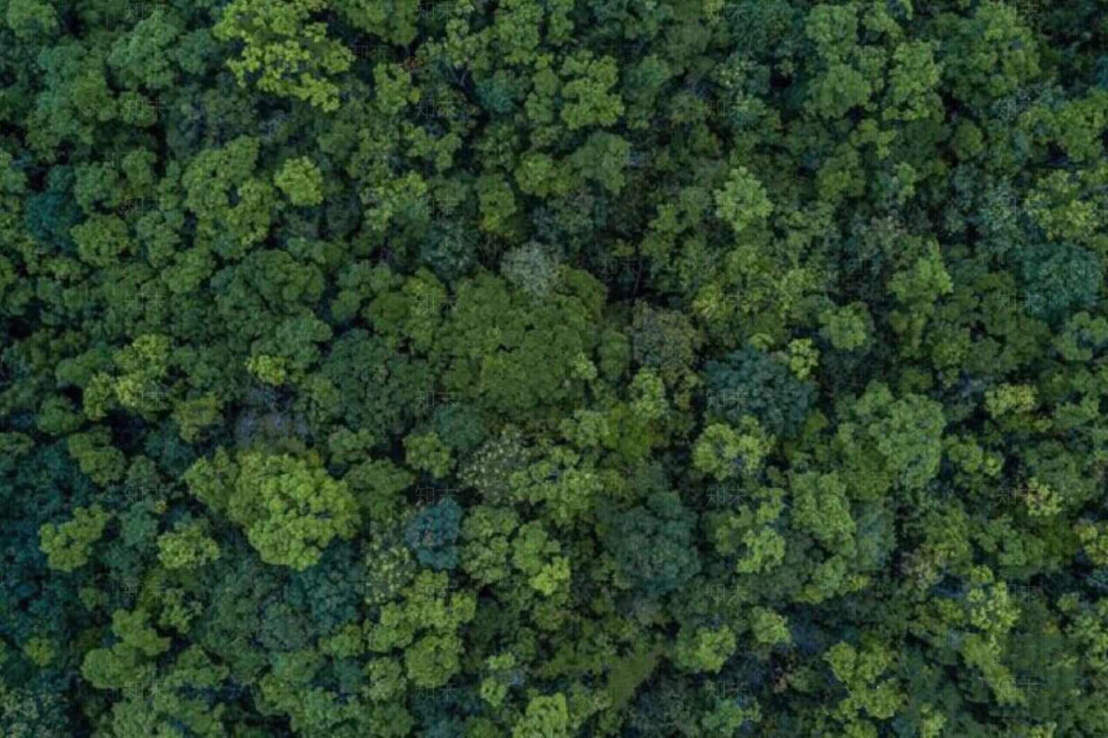 现代自然地面贴图下载【ID:1198607906】
