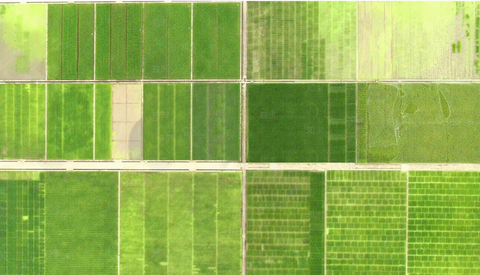 现代自然地面贴图下载【ID:1198608480】
