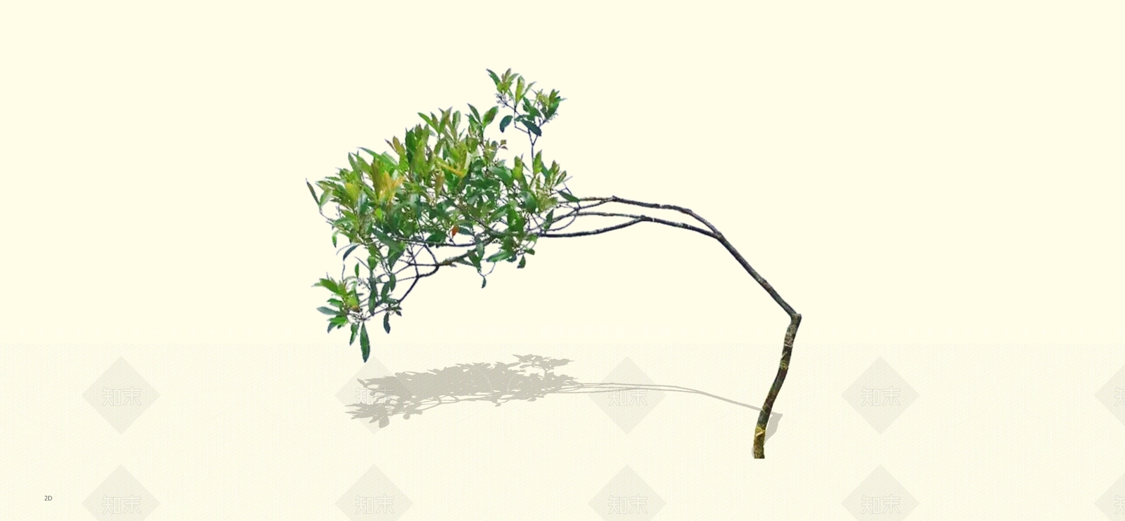 乔木SU模型下载【ID:1198625342】