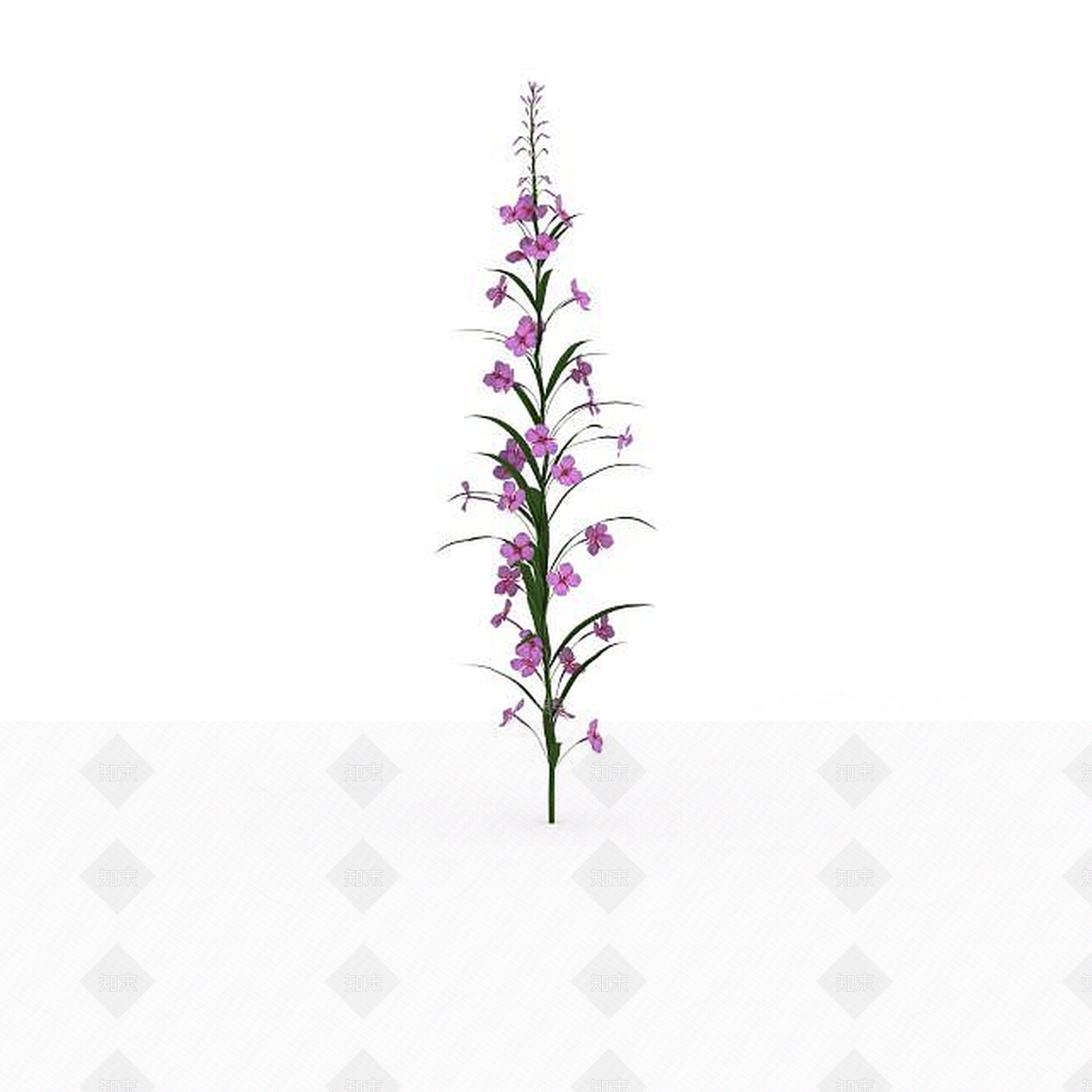 现代粉色花3D模型下载【ID:1198672831】