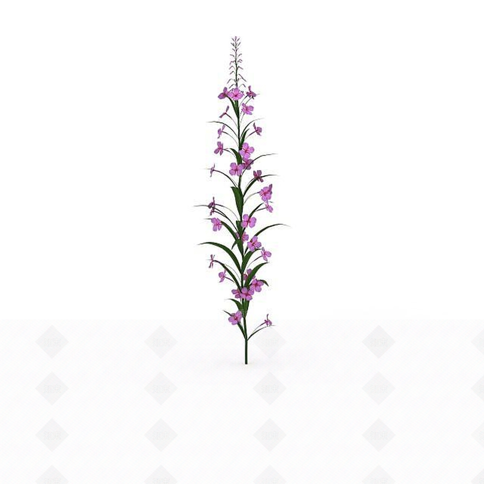 现代粉色花3D模型下载【ID:1198672831】