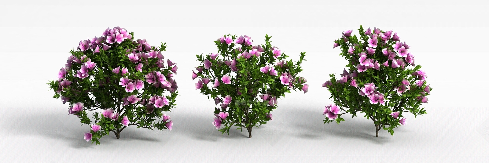 现代园林花3D模型下载【ID:1198672974】