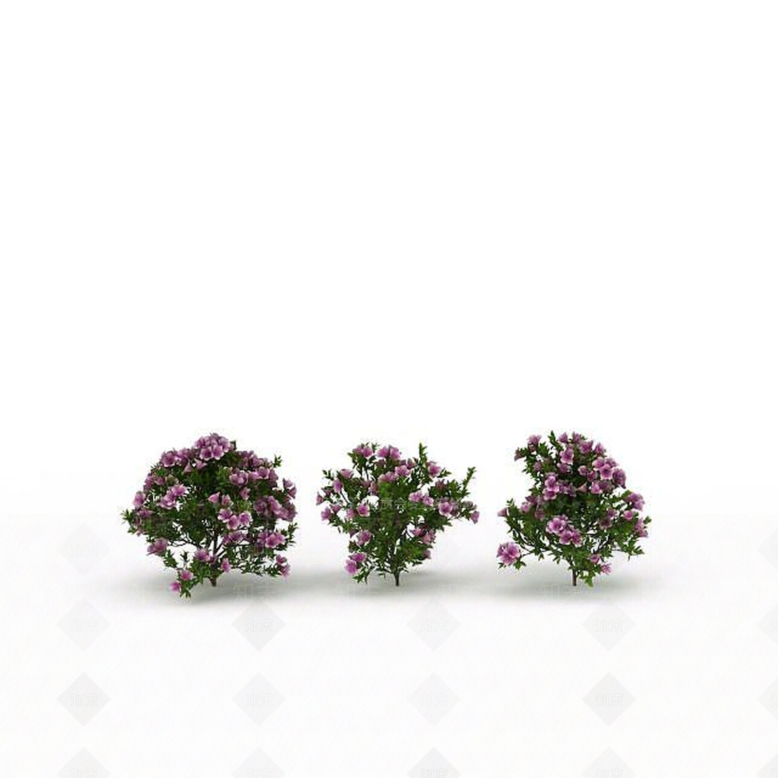 现代园林花3D模型下载【ID:1198672974】