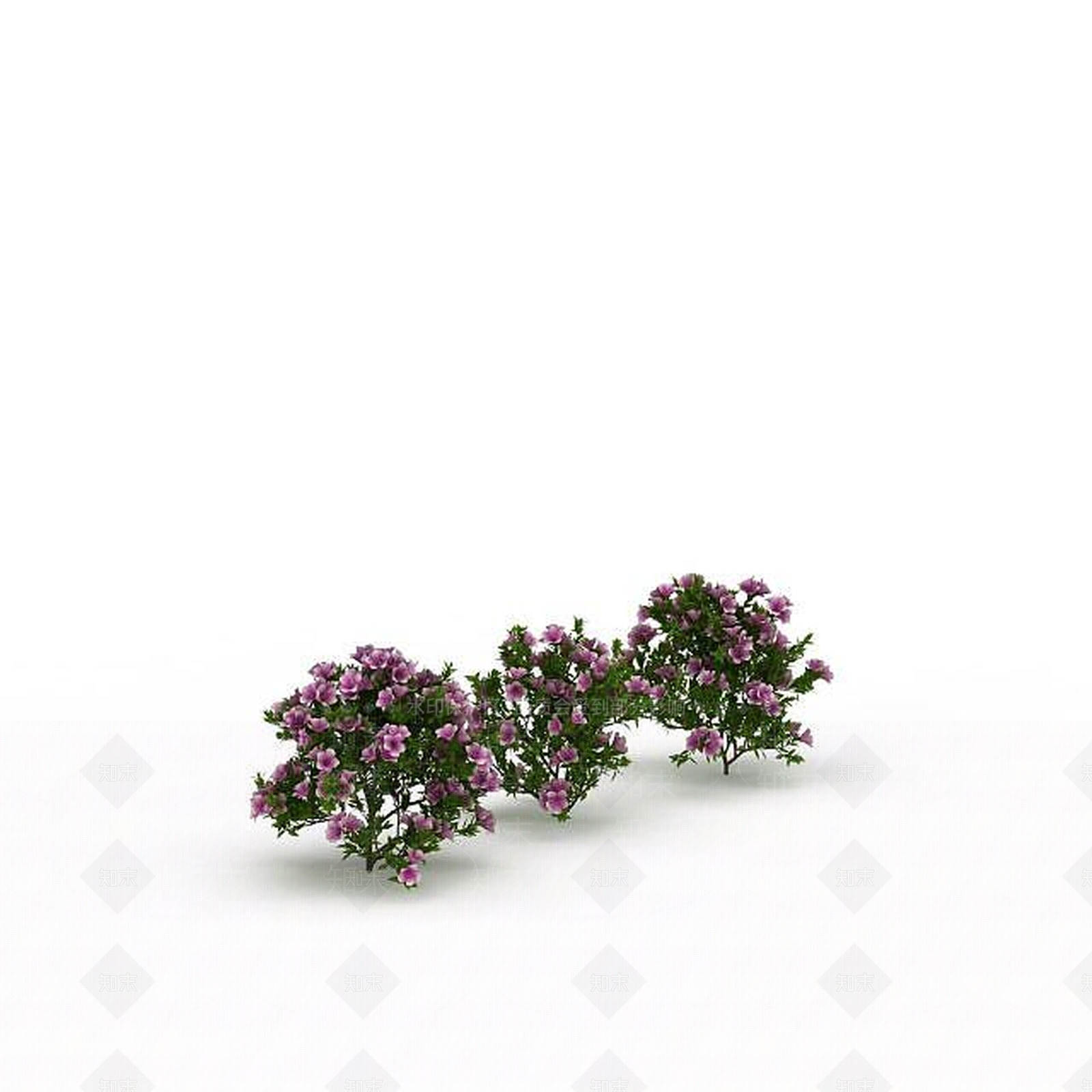 现代园林花3D模型下载【ID:1198672974】