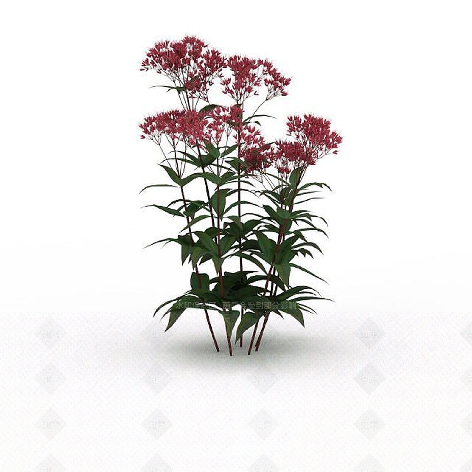 现代红花3D模型下载【ID:1198673082】
