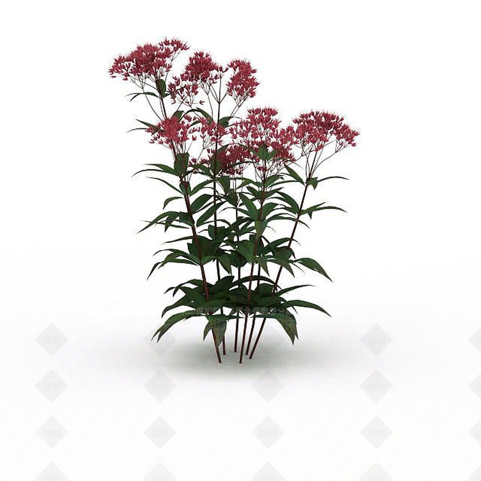 现代红花3D模型下载【ID:1198673082】