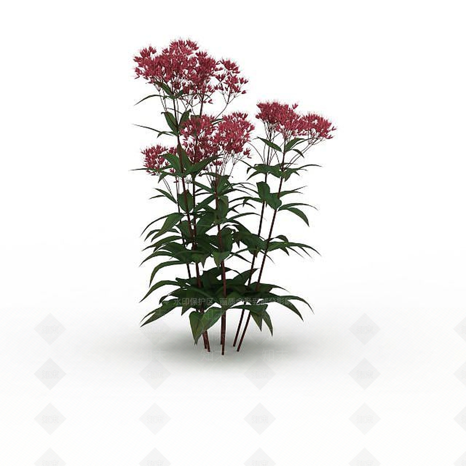 现代红花3D模型下载【ID:1198673082】
