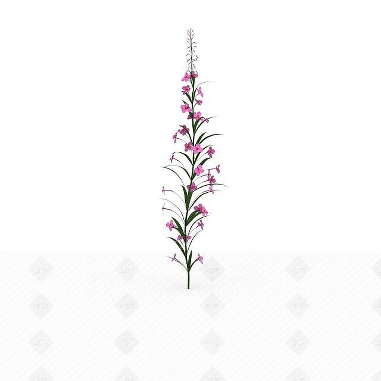 现代粉色园林装饰花3D模型下载【ID:1198673006】