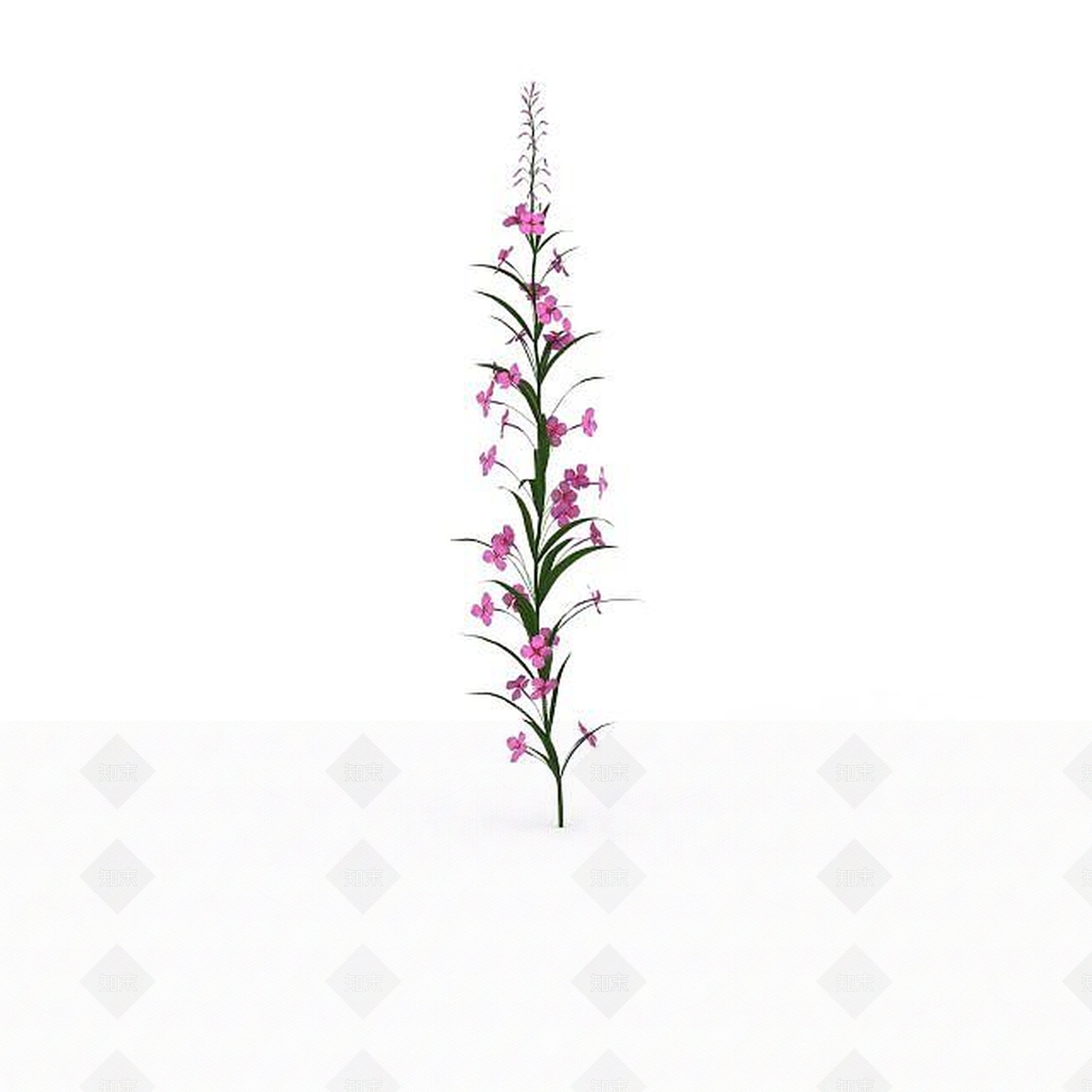 现代粉色园林装饰花3D模型下载【ID:1198673006】