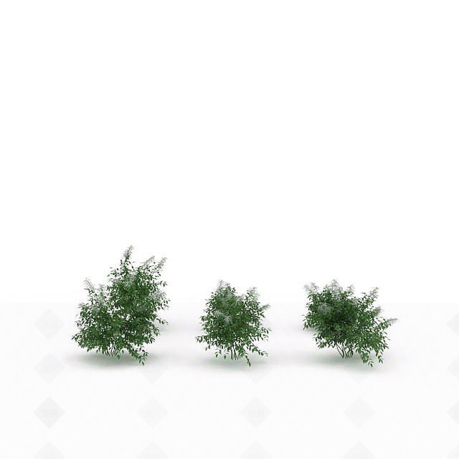 现代景观绿植3D模型下载【ID:1198673200】