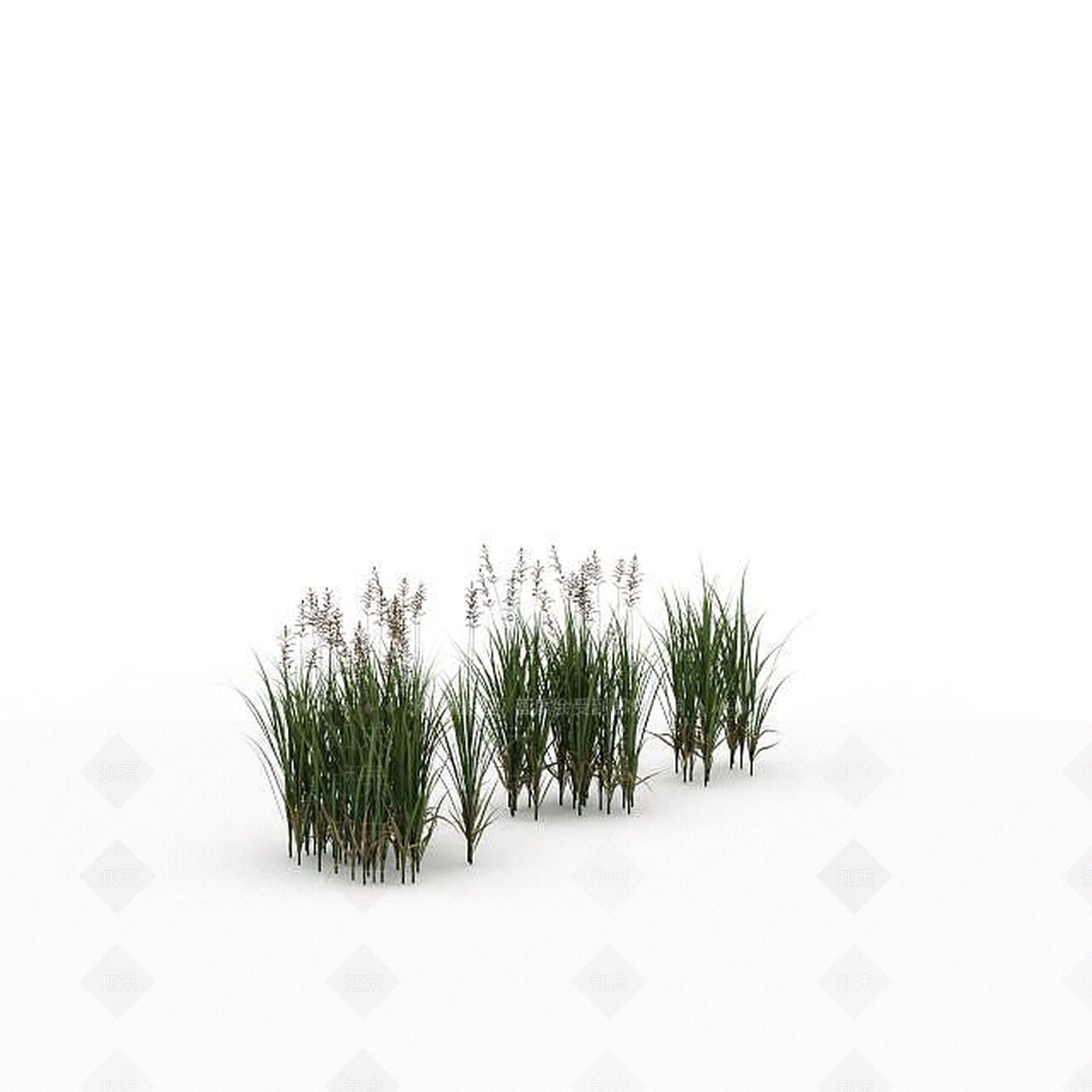现代公园绿植3D模型下载【ID:1198673592】