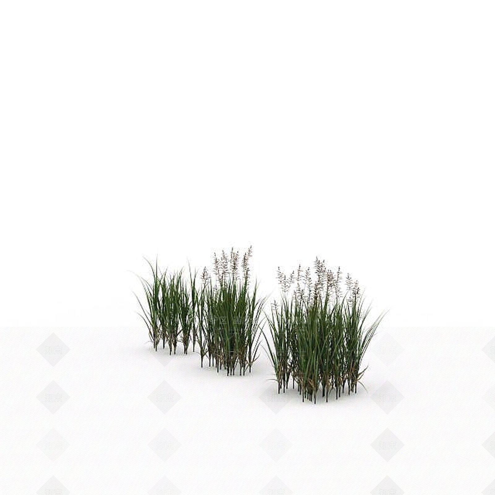 现代公园绿植3D模型下载【ID:1198673592】