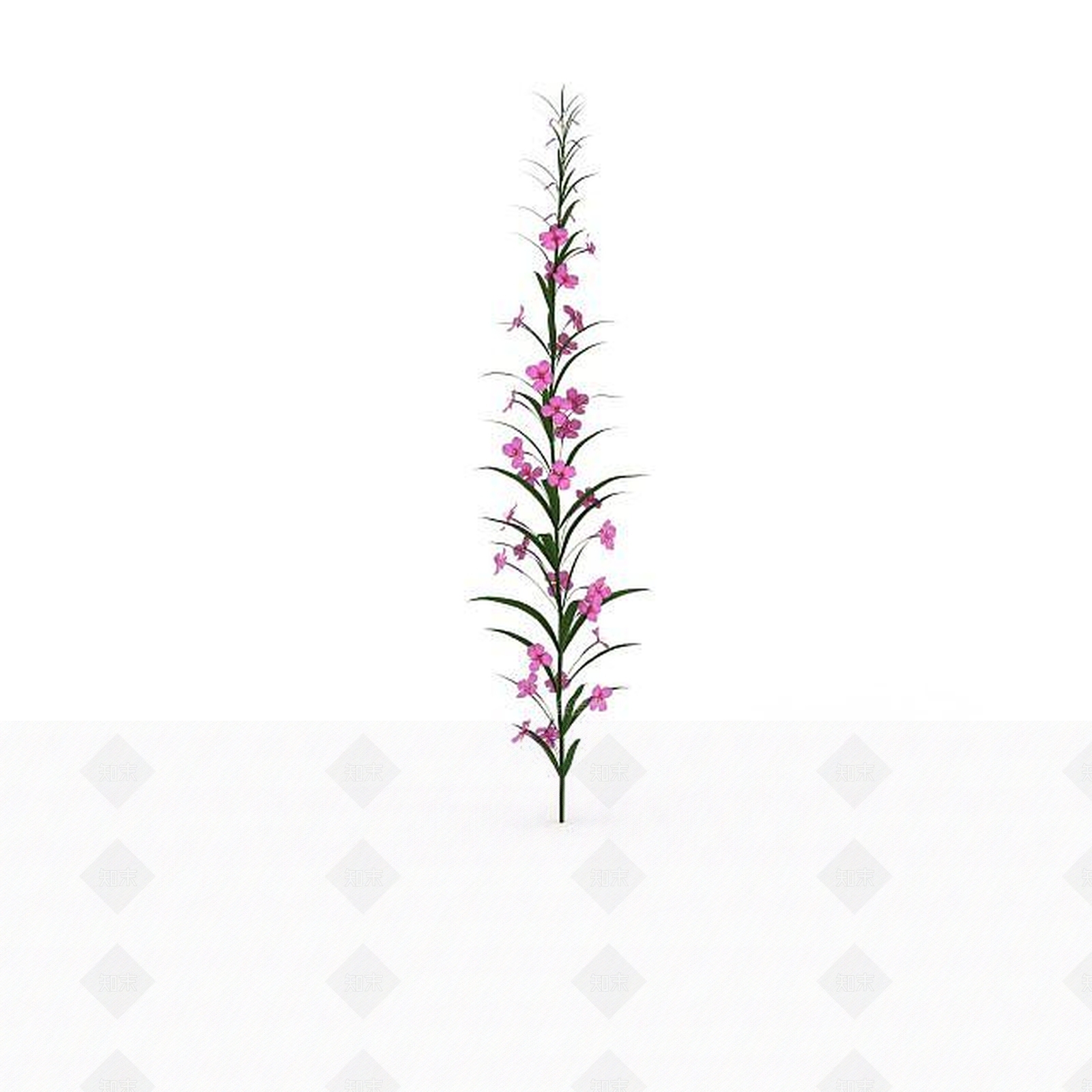 现代粉色花3D模型下载【ID:1198673529】