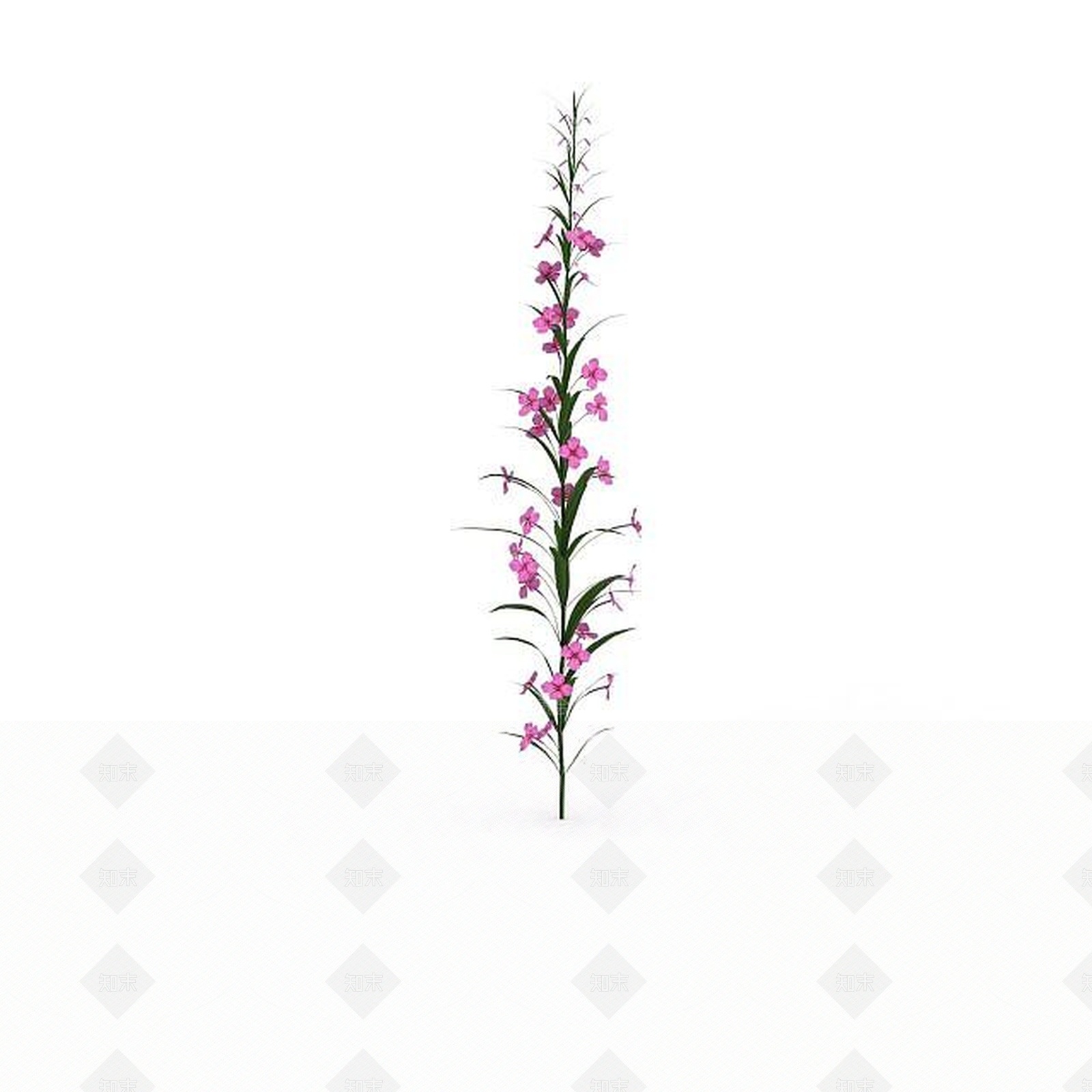 现代粉色花3D模型下载【ID:1198673529】