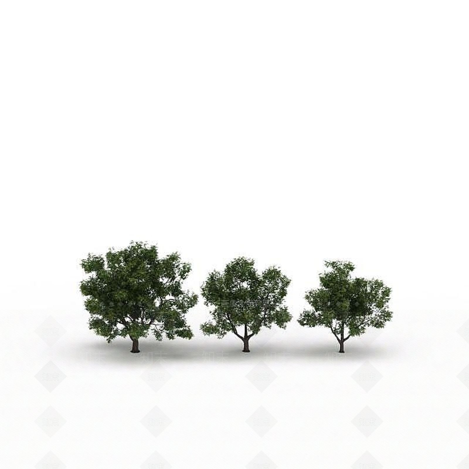 现代景观树3D模型下载【ID:1198674224】