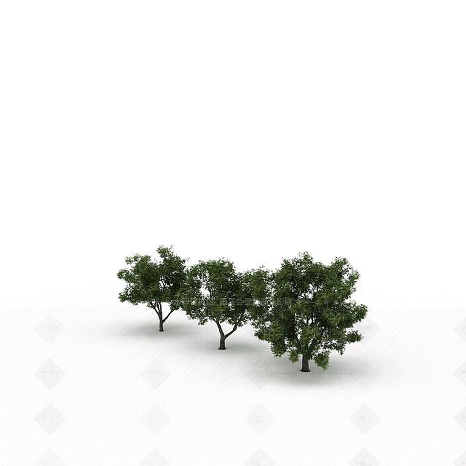 现代景观树3D模型下载【ID:1198674224】
