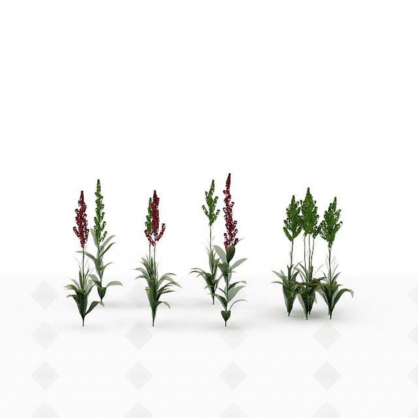 现代绿植3D模型下载【ID:1198674658】