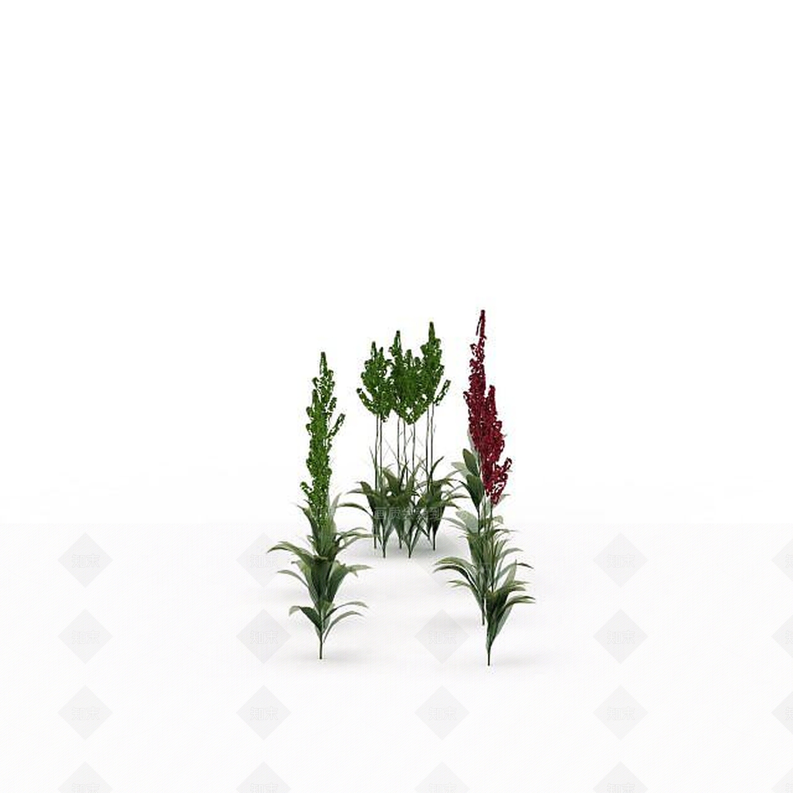 现代绿植3D模型下载【ID:1198674658】