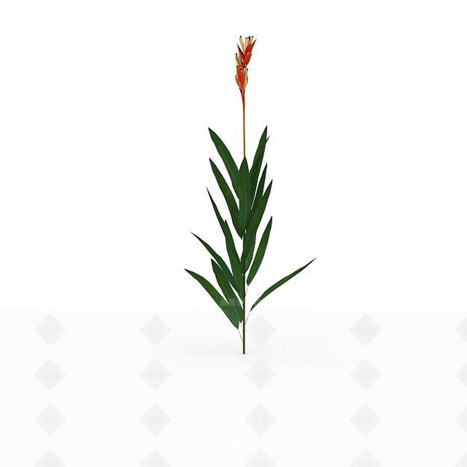 现代花草植物3D模型下载【ID:1198674706】
