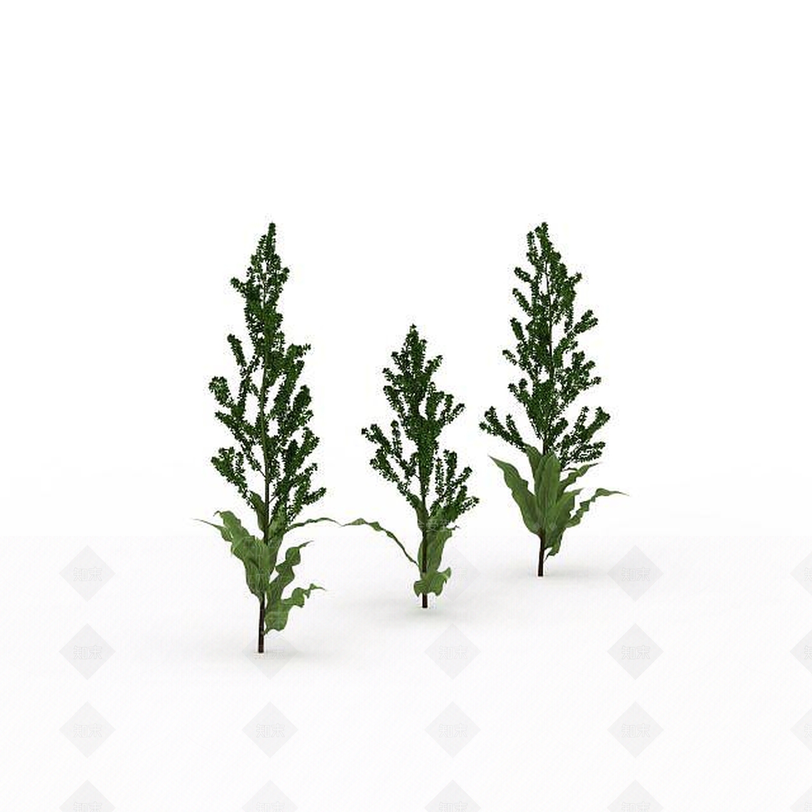 现代绿植3D模型下载【ID:1198674828】