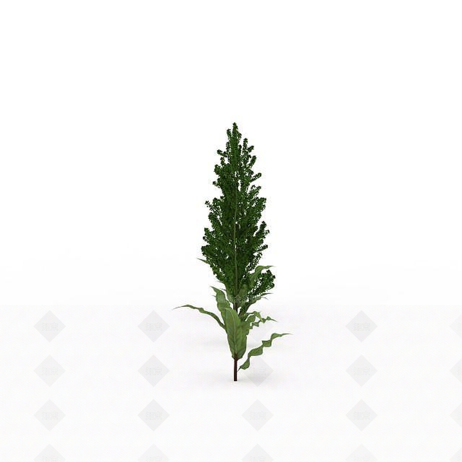 现代绿植3D模型下载【ID:1198674828】