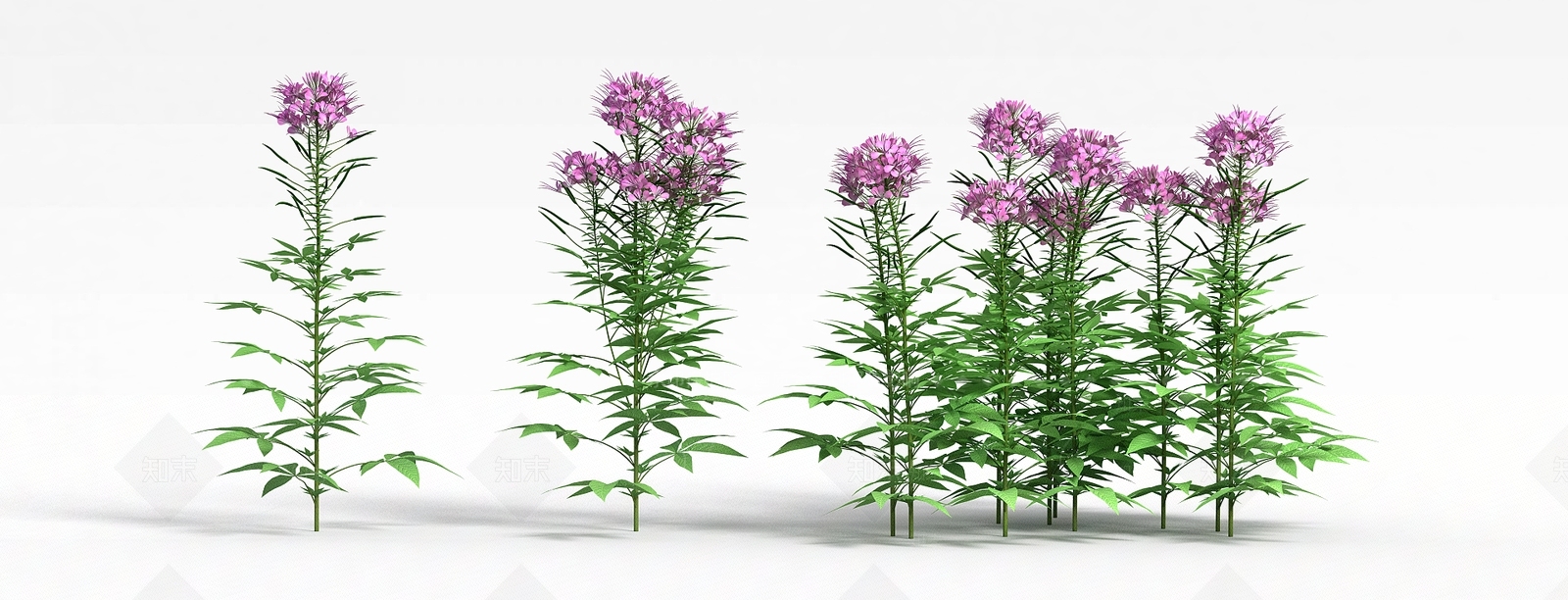 现代公园花3D模型下载【ID:1198675145】