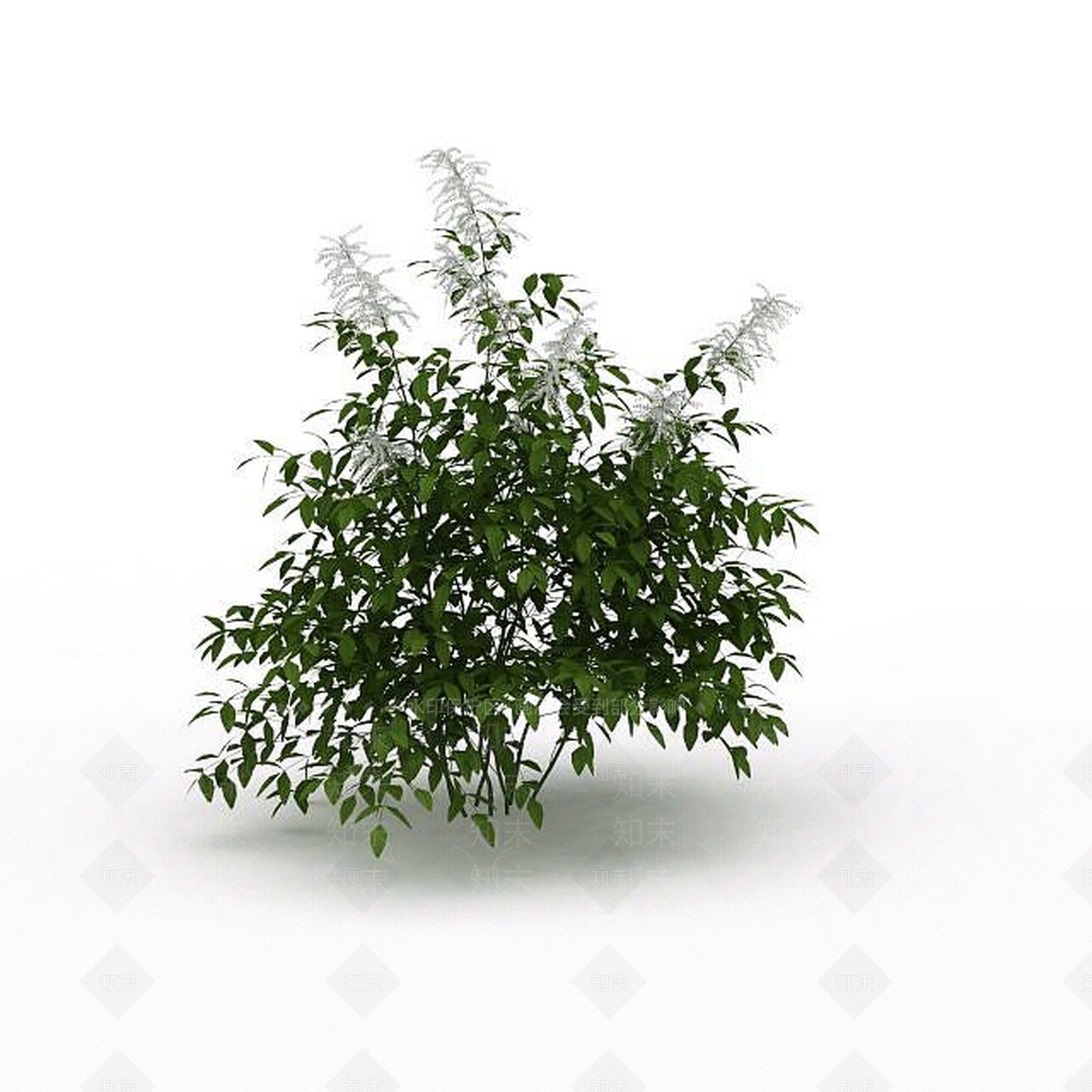 现代景观绿植3D模型下载【ID:1198675339】