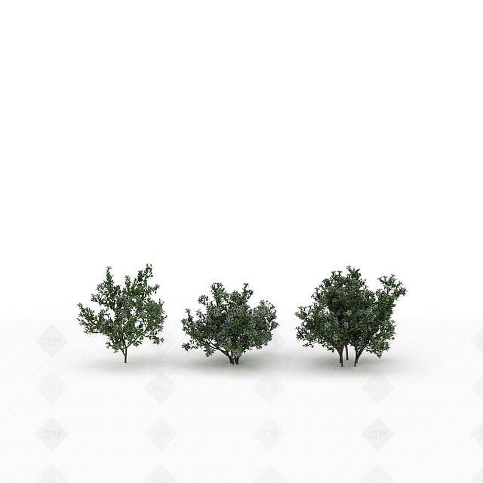 现代景观树3D模型下载【ID:1198676440】