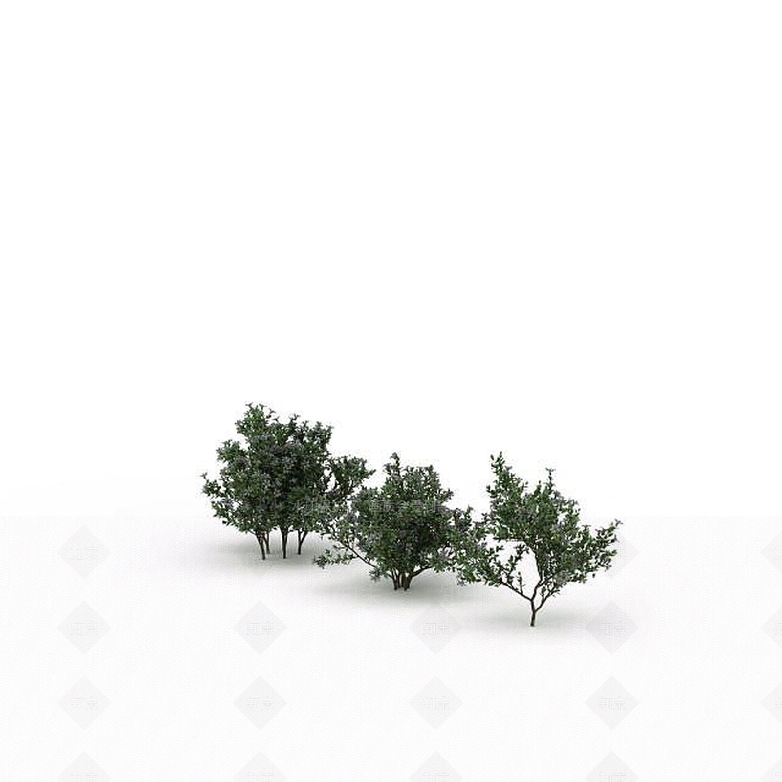现代景观树3D模型下载【ID:1198676440】