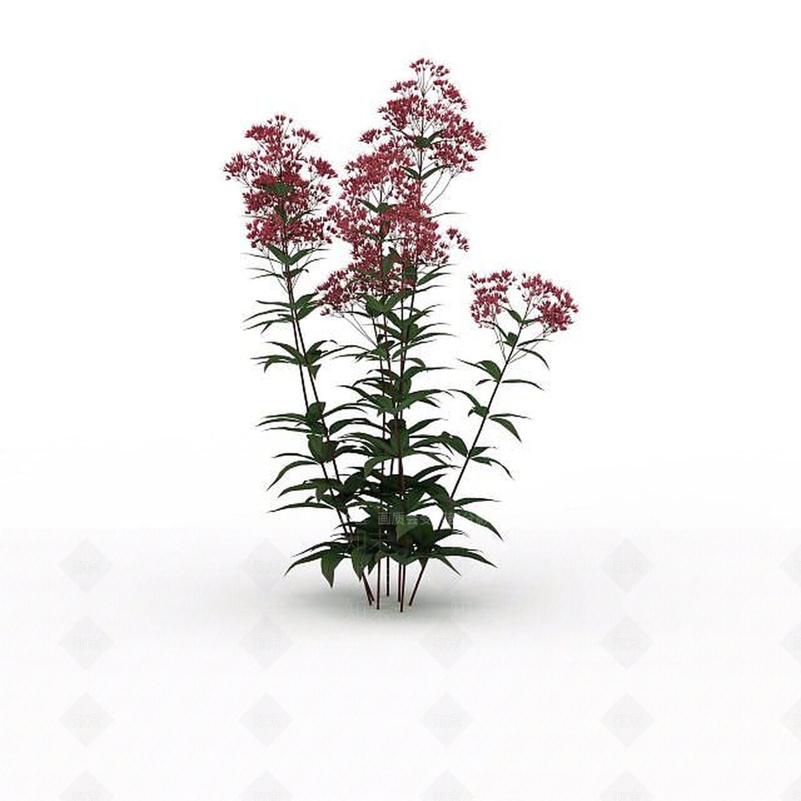 现代红花3D模型下载【ID:1198676517】