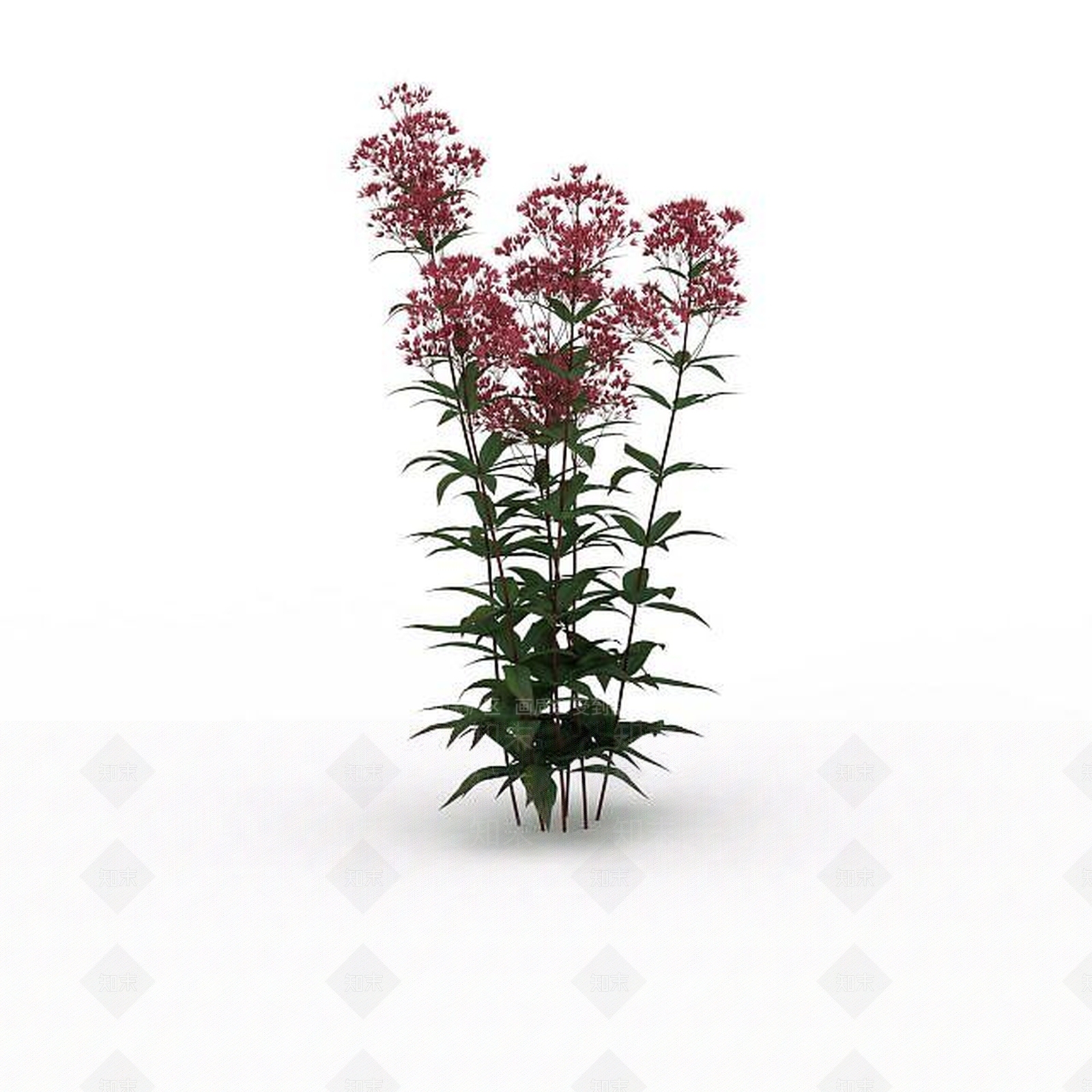 现代红花3D模型下载【ID:1198676517】